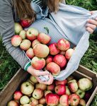 SHORT-TERM OUTLOOK for EU agricultural markets in 2021 - SPRING 2021