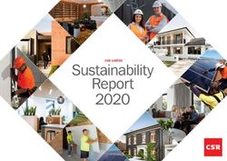 Sustainability Report 2020 - CSR