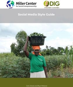 Social Media Style Guide - Julia Jenak and Bryn Pellowe