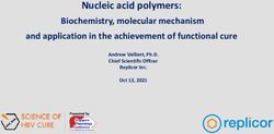 Nucleic acid polymers: Biochemistry, molecular mechanism and application in the achievement of functional cure - Replicor