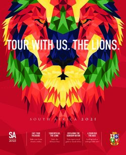 TOUR WITH US. THE LIONS - Lions Tour