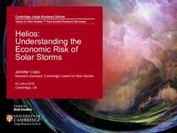Helios: Understanding the Economic Risk of Solar Storms - Jennifer Copic Research Assistant, Cambridge Centre for Risk Studies