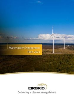 Stakeholder Engagement Plan 2021 - Eirgrid Group