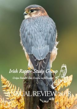 ANNUAL REVIEW 2018 - Irish Raptor Study Group