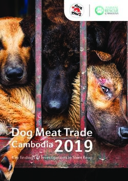 Cambodia 2019 Dog Meat Trade - Key findings of Investigations in Siem Reap - Animal Rescue Cambodia