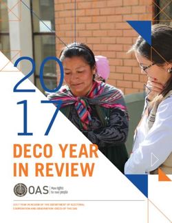 20 17 DECO YEAR IN REVIEW - Organization of American States