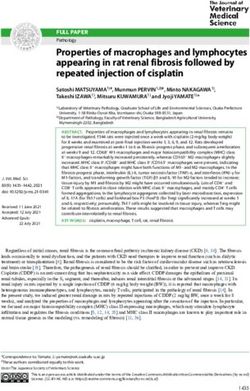 Properties of macrophages and lymphocytes appearing in rat renal fibrosis followed by repeated injection of cisplatin