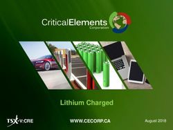 Lithium Charged V:CRE WWW.CECORP.CA - Critical Elements Corporation