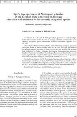 Spix's type specimens of Neotropical primates at the Bavarian State Collection of Zoology: a revision with reference to the currently recognised ...