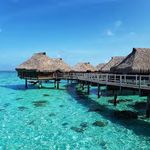 TOUR 2019 FULL DAYS WITH WHALES - Inclusive tour PRIVATE 52ft CATAMARAN