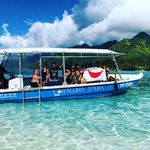 TOUR 2019 FULL DAYS WITH WHALES - Inclusive tour PRIVATE 52ft CATAMARAN