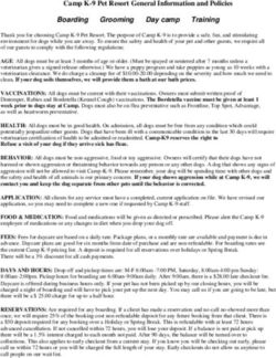 Camp K-9 Pet Resort General Information and Policies