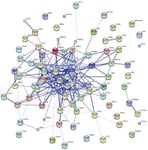 Improved nucleosome-positioning algorithm iNPS for accurate nucleosome positioning from sequencing data