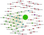 Analysing Scientific Collaborations of New Zealand Institutions using Scopus Bibliometric Data