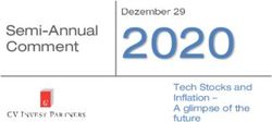 2020 Semi-Annual Comment - CV INVEST PARTNERS AG