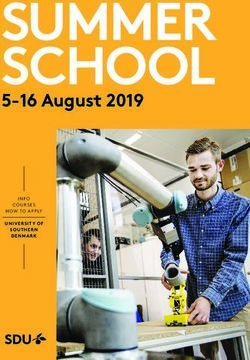 SUMMER SCHOOL 5-16 August 2019 - HAW Hamburg