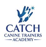 Professional Dog Trainer Program: Course Catalog - CATCH ...