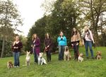 Professional Dog Trainer Program: Course Catalog - CATCH ...