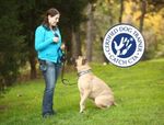 Professional Dog Trainer Program: Course Catalog - CATCH ...