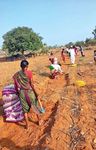 Participation of Women in MGNREGA in Karnataka - Understanding the Drivers and Barriers - Indus Action