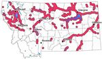 Fish of Montana Montana Field Guide