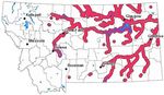 Fish of Montana Montana Field Guide