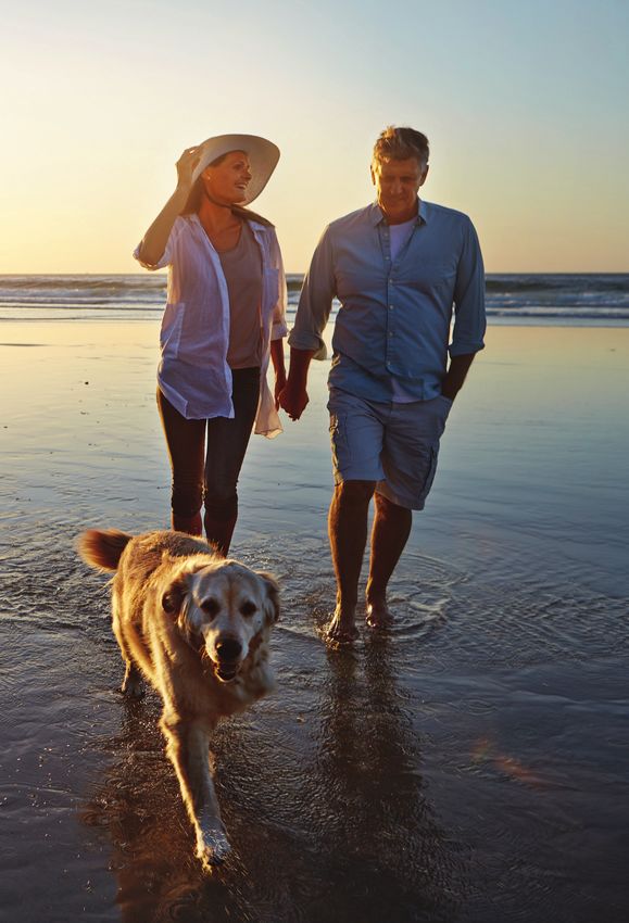 Get more 2019 Anthem Medicare Preferred PPO medical plan 2264534 