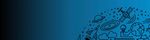 HE & Careers News Hymers College