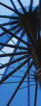 Investment Stewardship - 2020 Semiannual Report