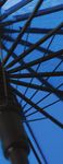 Investment Stewardship - 2020 Semiannual Report