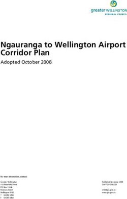 Ngauranga to Wellington Airport Corridor Plan