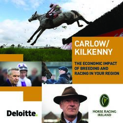 CARLOW/ KILKENNY THE ECONOMIC IMPACT OF BREEDING AND RACING IN YOUR REGION