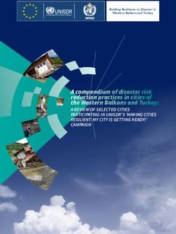 A compendium of disaster risk reduction practices in cities of the Western Balkans and Turkey