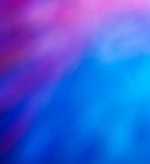 AUTUMN 2021 - Kingston City Council