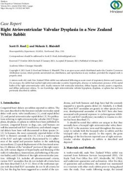 Case Report Right Atrioventricular Valvular Dysplasia in a New Zealand White Rabbit