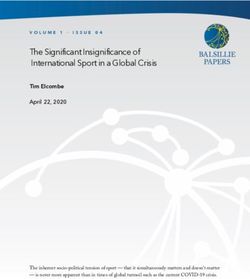 The Significant Insignificance of International Sport in a Global Crisis - Balsillie Papers