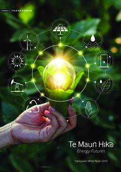 Transpower White Paper 2018