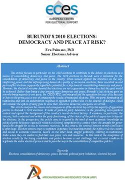 BURUNDI'S 2010 ELECTIONS: DEMOCRACY AND PEACE AT RISK?