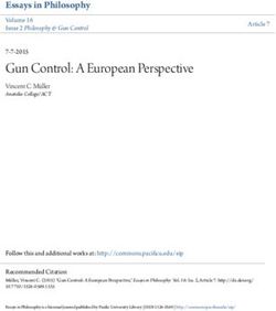 Gun Control: A European Perspective - Essays in Philosophy