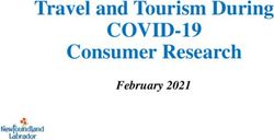 COVID-19 Travel and Tourism During Consumer Research - February 2021