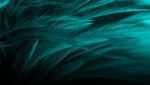 Find your essential C-suite Series: The 2021 CEO Study How to thrive in a post-pandemic reality - IBM