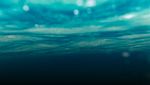 Find your essential C-suite Series: The 2021 CEO Study How to thrive in a post-pandemic reality - IBM