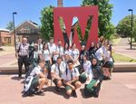 CONDELL PARK HIGH SCHOOL - Third Avenue, Condell Park NSW 2200