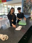 CONDELL PARK HIGH SCHOOL - Third Avenue, Condell Park NSW 2200