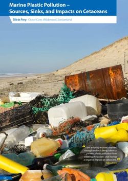 Marine Plastic Pollution - Sources, Sinks, and Impacts on Cetaceans
