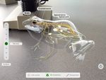 Augmented Reality in Education - Lesson Ideas - Apple