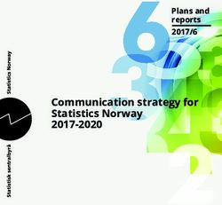 Communication strategy for Statistics Norway 2017-2020 - Plans and reports 2017/6 - SSB