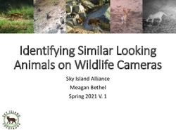 Identifying Similar Looking Animals on Wildlife Cameras - Sky Island Alliance Meagan Bethel Spring 2021 V. 1 - Sky ...