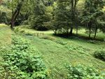 Bee City USA - Pittman Center - Report on 2021