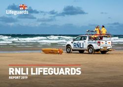 RNLI LIFEGUARDS REPORT 2019